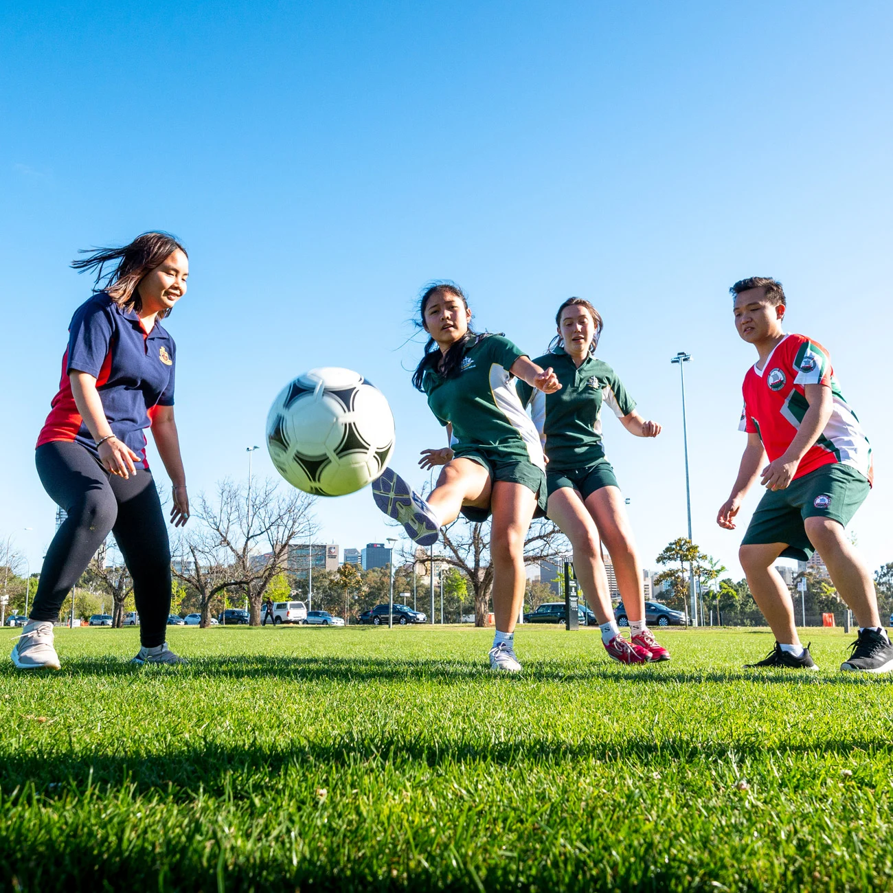 前的銳利嗅 前的銳利嗅