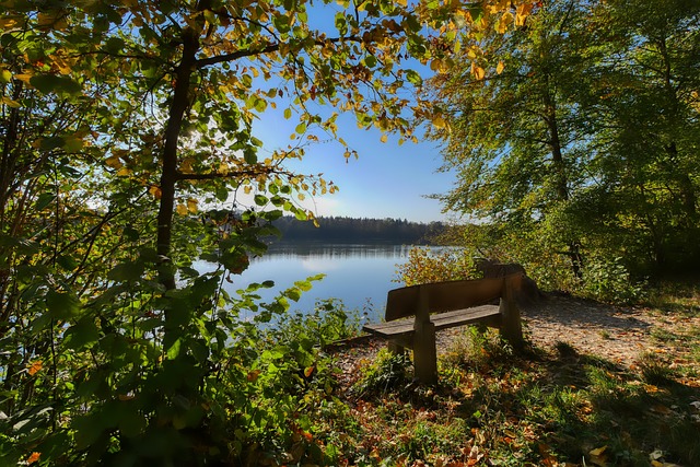 而在教练岗 而在教练岗
