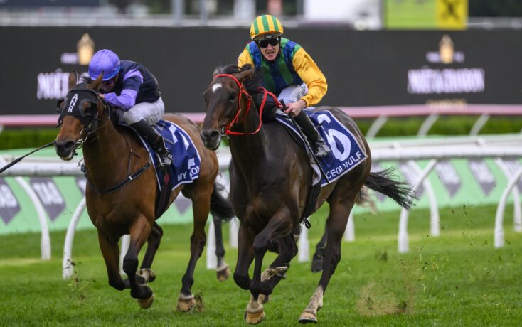 不断增长 不断增长